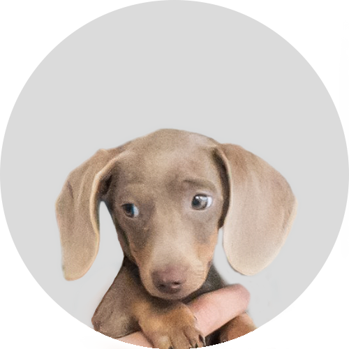 Portrait von Sabine Ott